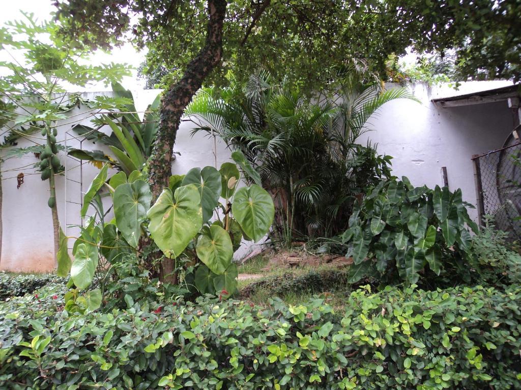 Iguassu Central Flats Foz do Iguaçu Exteriör bild